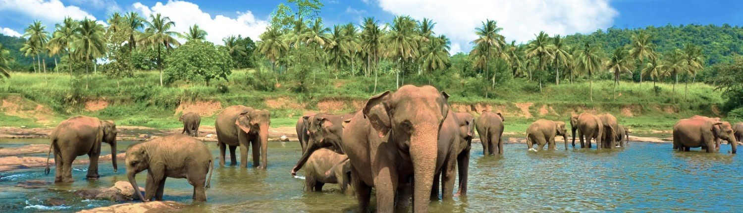 Поради туристам на Шрі-Ланці