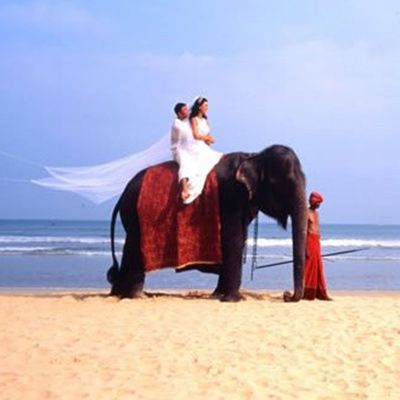 Організація весілля на Шрі-Ланці